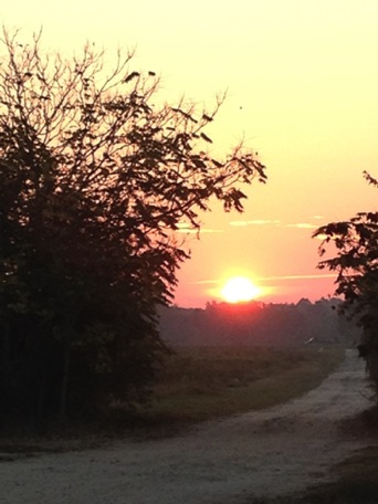 sunrise over the farm